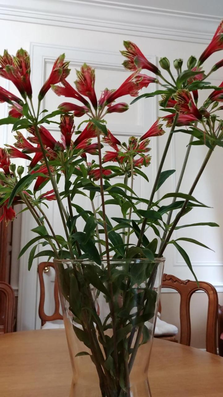 Fruits Of Vienna B&B Екстериор снимка